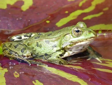 genid-66bd5bdb641047d8ad0a83edd26b83f523873122-b7