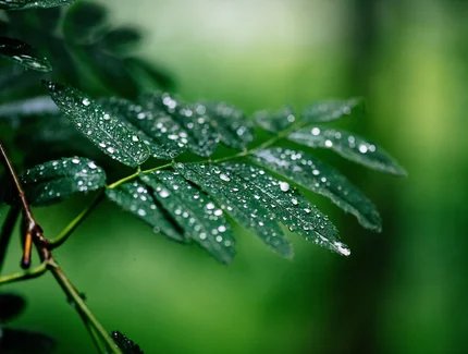 Fachveranstaltung "Ein Tag in der Natur 2026"