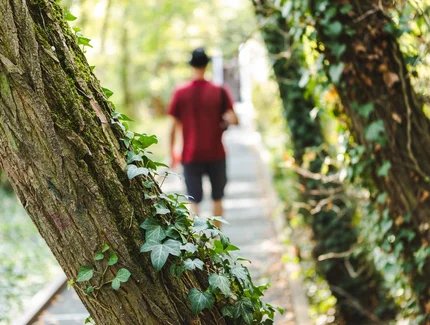 Botanischer Streifzug im Natur Park Südgelände