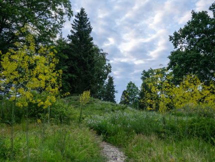 Landschaftsbild