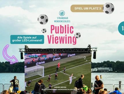 PUBLIC VIEWING