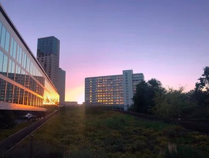 Abend auf der Bikini-Terrasse