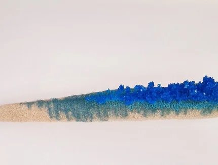 WHAT IS CARRIED? by Oana Știrbu