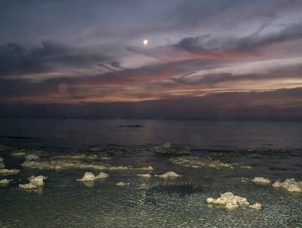 Dreamers bay, 2026
