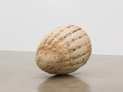 Jeewi Lee, Fragment Proximity_Son Real 23_01, 2024,