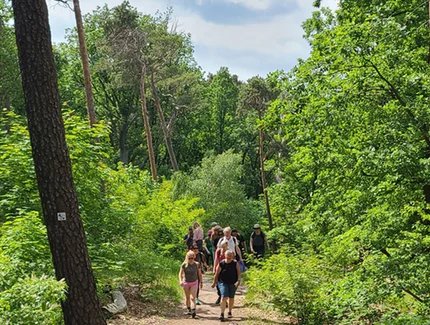 Wanderung mit Wissenswertem im Grunewald
