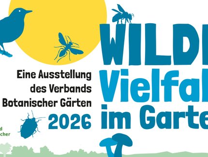 Wilde Vielfalt im Garten