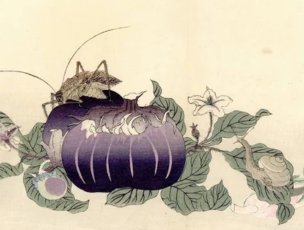 Utamaro_MushiruiGafu_1892_Ausschnitt