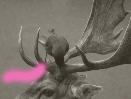 Deer-Bird Duo I, 2026