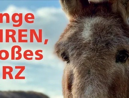 Lange Ohren, großes Herz