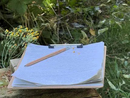 Nature Writing - einfach ausprobieren!