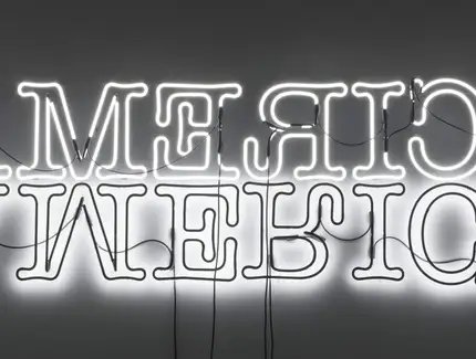 Glenn Ligon, Double America, 2012