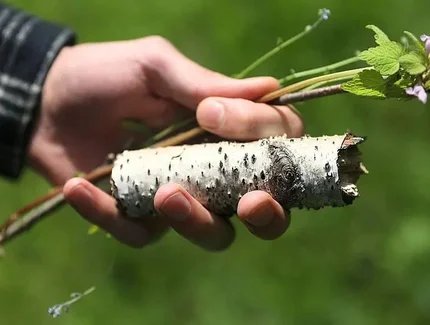 Feldbaden: Erholung finden in der Stadtnatur