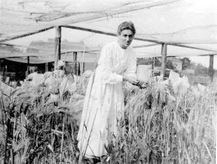 Elisabeth Schiemann um 1925.