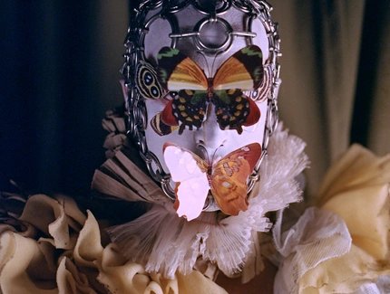 Vision of the Fabulocene