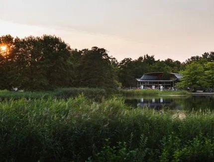 SonntagsKult am See: Musical-Revue Summer Stars