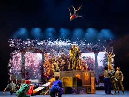 Cirque Du Soleil ALIZÉ - Planquine