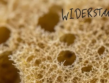 Uraufführung WIDERSTAND