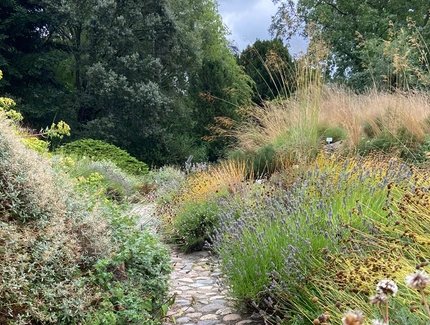 Gesund im Garten