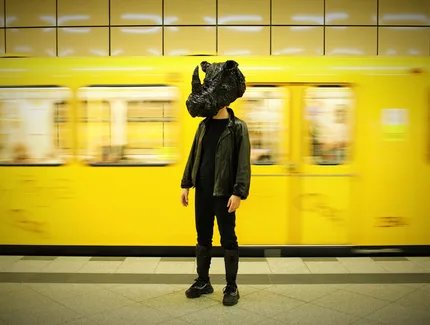 Rhinozeros – ein Comeback