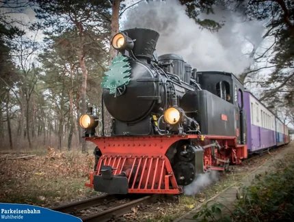 Dampfzugfahrten in der Wuhlheide