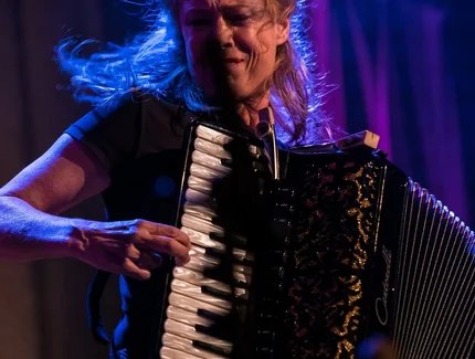 The Cats Back - Konzert