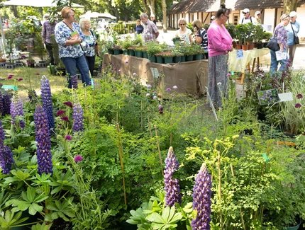 genid-eb1daf00d85749978505faa57336b74926544839-b8