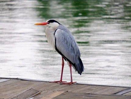 genid-f342301f14474fc8842de2d7e60cbf846428365-b11