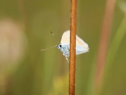 genid-f342301f14474fc8842de2d7e60cbf846465347-b11