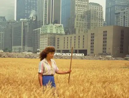 Agnes Denes, Weizenfeld – Eine Konfrontation, Battery Park Landfill, Downtown Manhattan, Fotografie, 1982