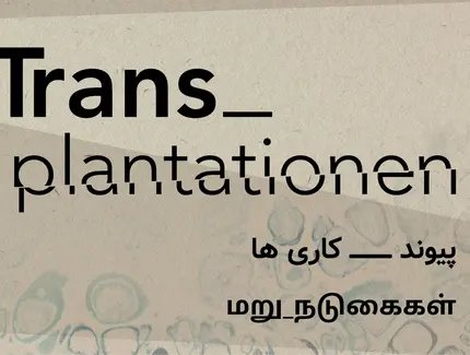 VISUAL Trans_plantationen