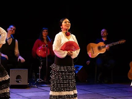 Mi Mundo Flamenco