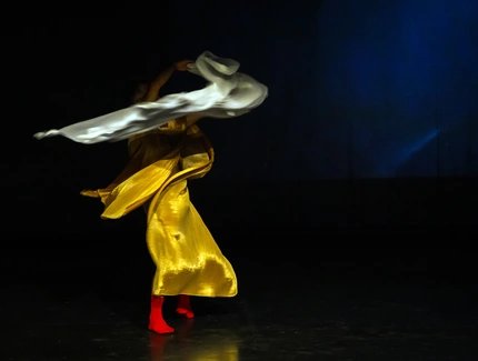 Shows You (maybe ) Missed