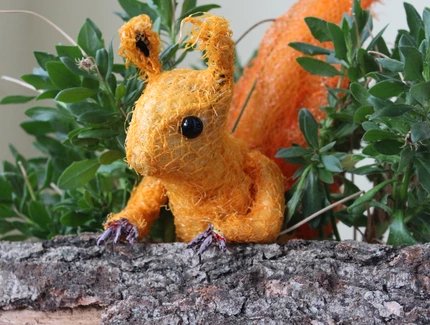 Die Eichhörnchen-Story