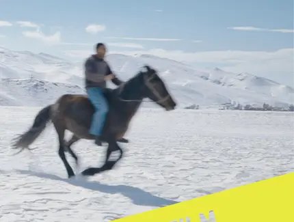 5 Dreamers and a Horse