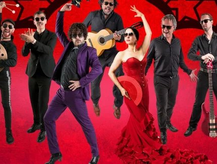 Flamenco ‒ Rosas Negras