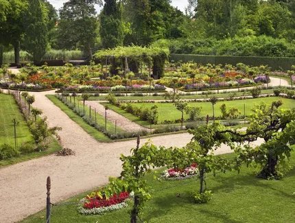 Rosengarten im Park Charlottenhof