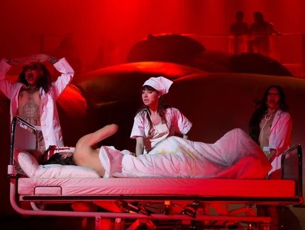 A Year without Summer