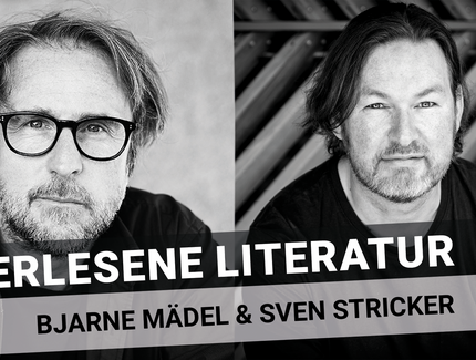 Veranstaltungen in Berlin: Erlesene Literatur mit Bjarne Mädel und Sven Stricker