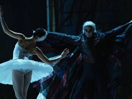 Schwanensee – Jenseits der Bühne