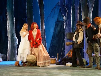 Das Weihnachtsmärchen von der Prinzessin und dem Weihnachtsmann