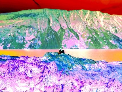 Ausgestelltes Werk in der Ausstellung Techno-Ökologien und erinnernde Materie: Die umkämpfte Umwelt