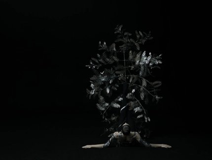 VISUAL Saison 25/26