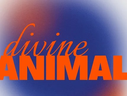 VISUAL Divine Animal