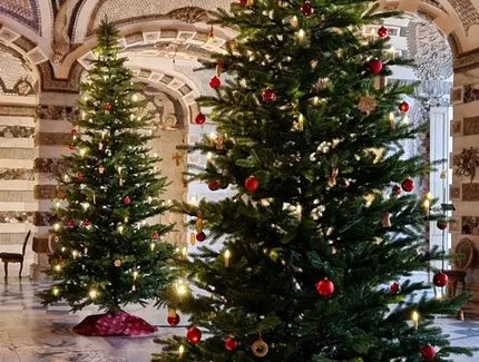 Weihnachten im Grottensaal des Neuen Palais