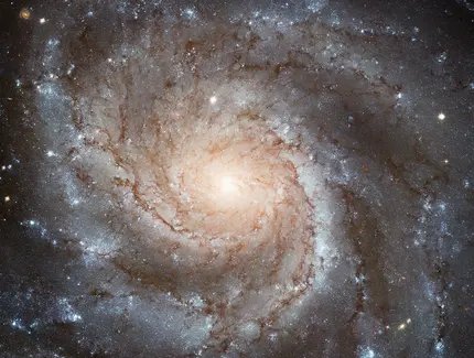 Spiralgalaxie