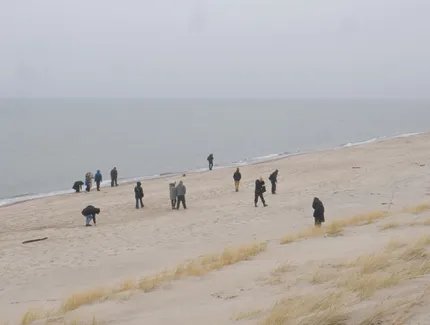 Latent Accumulations: Walking Along Paraffin Pollutiion Along Nida Coastline. Film Still: Anna Luise Schubert 2025