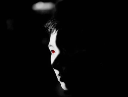 Sion Yoo, Zicong Han