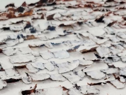 Detail Joāo Freitas, o.T. 2024