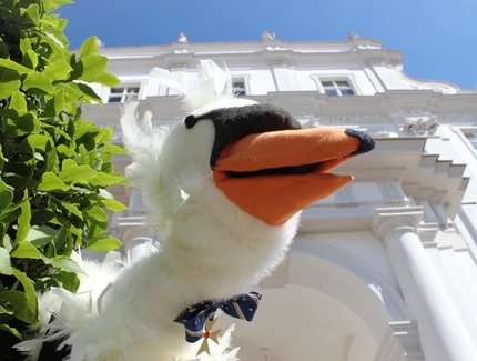 Familienführung: Schwan Heinrich erzählt aus der Zeit Friedrichs I.